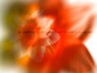 Picture for song 'Lost In You' by artist 'Rakeem Andre'