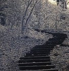 Picture for song 'Not Hard to Find' by artist 'Rakeem Andre'