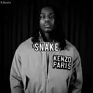 Picture for song 'Sad Polo G Type Beat 2024 - "Snake"' by artist 'R.Beatz'