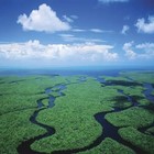 Picture for song 'River of Grass' by artist 'R. Davila'