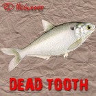 Picture for song 'Dead Tooth (Album Version)' by artist 'RD McGunner'