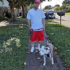 Picture for song 'boss Shit (Reapa)' by artist 'REAPA'