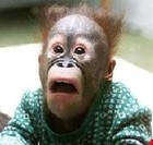 Picture for song 'do the king kong' by artist 'ReDZoNemusic'