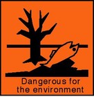 Picture for song 'Sand In Your Shoes' by artist 'Reed Burnam'