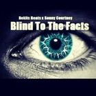 Picture for song 'Blind 2 The Facts *Smooth* | Sonny Courtney Collab' by artist 'Reklis Beats'