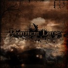 Picture for song 'Requiem Laus - gallery of lies' by artist 'Requiem Laus'