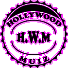 Picture for song 'reshine - jingel' by artist 'Reshine'