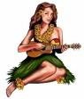 Picture for song 'Aloha Week Hula' by artist 'Rex Reynolds'