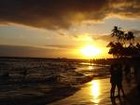Picture for song 'My version of Waikiki' by artist 'Rex Reynolds'
