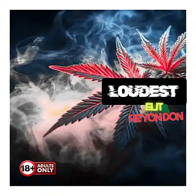 Picture for song 'Loudest - Reyon Don Ft Elit' by artist 'Reyon Don'
