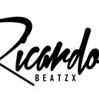 Picture for song 'Hold It Down' by artist 'ricardobeatz'