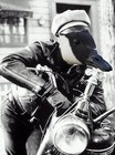Picture for song '35 Spline Project - Intro' by artist 'Rick Bryce'