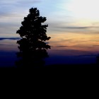 Picture for song 'Till morning comes' by artist 'Rinaldo'