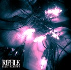 Picture for song 'Sos el viento' by artist 'riphle'