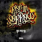 Picture for song 'Between My Enemies' by artist 'Rise in Sorrow'
