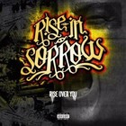 Picture for song 'The Struggle Never Ends Ft. Tropi' by artist 'Rise in Sorrow'