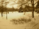 Picture for song 'Unexpected Thaw pt 2' by artist 'R Landon Wills'