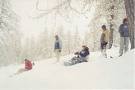 Picture for song 'Snowflakes (2007)' by artist 'Robin And The Giant'
