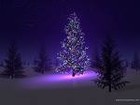 Picture for song 'The Christmas Tree Poem' by artist 'Robin And The Giant'