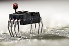 Picture for song 'Technophobia' by artist 'Roger Stollenwerk'