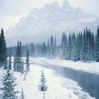 Picture for song 'Out In The Cold' by artist 'Rory David'