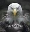 Picture for song 'warriors cry-(unfinished)' by artist 'Sacred Eyes'