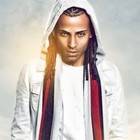 Picture for song '*Reggaeton* Cook Book' by artist 'Salinasbeats'
