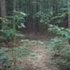 Picture for song 'Soundtrack to Angel #3 (Excerpt)' by artist 'Sara Ayers'