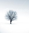 Picture for song 'Yakeen' by artist 'Sarah Ahmed'