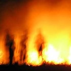 Picture for song 'Watch Me Burn' by artist 'SatanInventedBras'