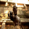 Picture for song ''KeeP YA PISTOL'(BIGGIE-TUPAC-T.I.P)-ILLEST BEAT!!' by artist 'SCITZO BEATS'