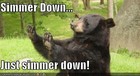 Picture for song 'Simmer Down' by artist 'Scott Swoosh'