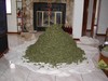 Picture for song 'Money Power' by artist 'Screwge'