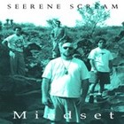 Picture for song 'Penny (Let it go)' by artist 'Seerene Scream'