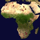 Picture for song 'From Africa' by artist 'Senior Tarik'