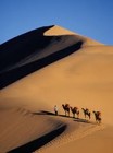 Picture for song 'Caravan' by artist 'Sergio's Latin Jazz'