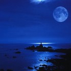 Picture for song 'Moonlight Cool' by artist 'sergv'