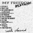 Picture for song 'My Freedom' by artist 'Seth David'