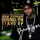 Picture for song 'Brooklyn Stand Up' by artist 'Sha Stimuli'