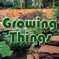 Picture for song 'Shay Millz- Somethings Growing' by artist 'Shay Millz'
