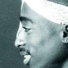 Picture for song 'At War' by artist 'ShiftyTheft Productions'