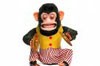 Picture for song 'Monkeyshines' by artist 'Sidesaddle Cowboy'