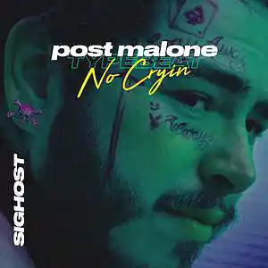 Picture for song 'No Cryin (Buy 1 Get 1 Free)' by artist 'SIGHOST'