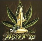 Picture for song 'LOVE MARYJANE (SiLENT LOCO, TRiPPY, GLOOMY SMOKES)' by artist 'SILENT 510'