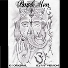 Picture for song '03 Ganesha' by artist 'Simple Man (HU)'