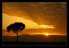 Picture for song 'Eternal Feeling' by artist 'Alex Kurilov Music'