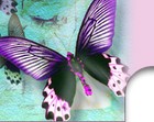Picture for song 'My Butterfly' by artist 'SLANTstation'
