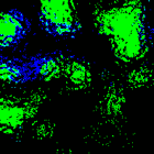 Picture for song 'Alone' by artist 'Slave of Destruction'