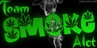 Picture for song 'I BE BURNIN-FREE' by artist 'SMOKE ALOT ENT.'