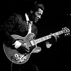 Picture for song 'Snowball Johnny- Johnny Be Goode Live Jam' by artist 'Snowball Johnny'